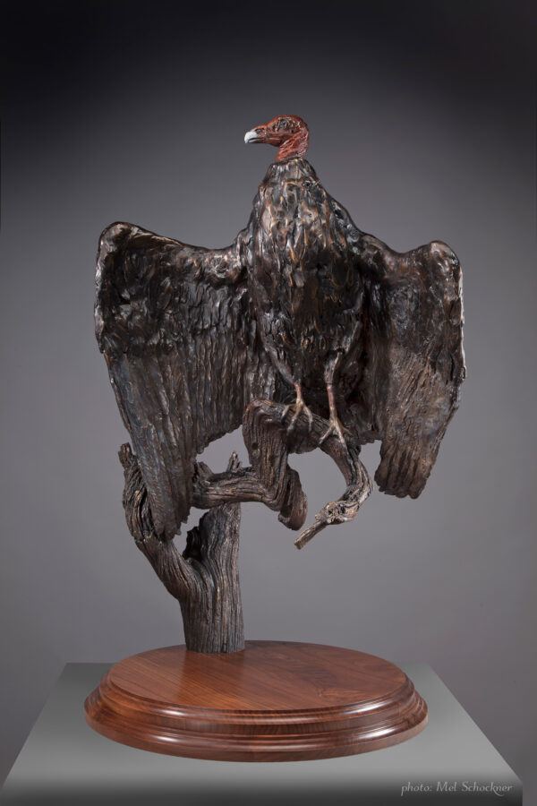 Red-headed turkey vulture drying wings, Limited Edition Bronze Sculpture, Jan Mapes