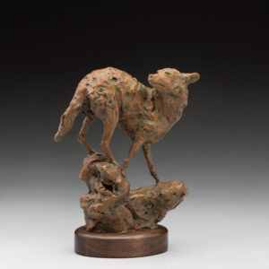 Grandmother Coyote Limited Edition Bronze Sculpture by Jan Mapes